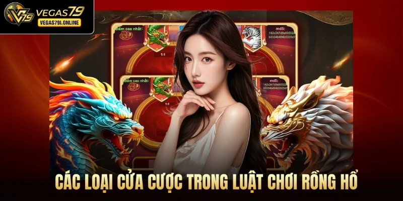 Các loại cửa cược trong luật chơi Rồng Hổ